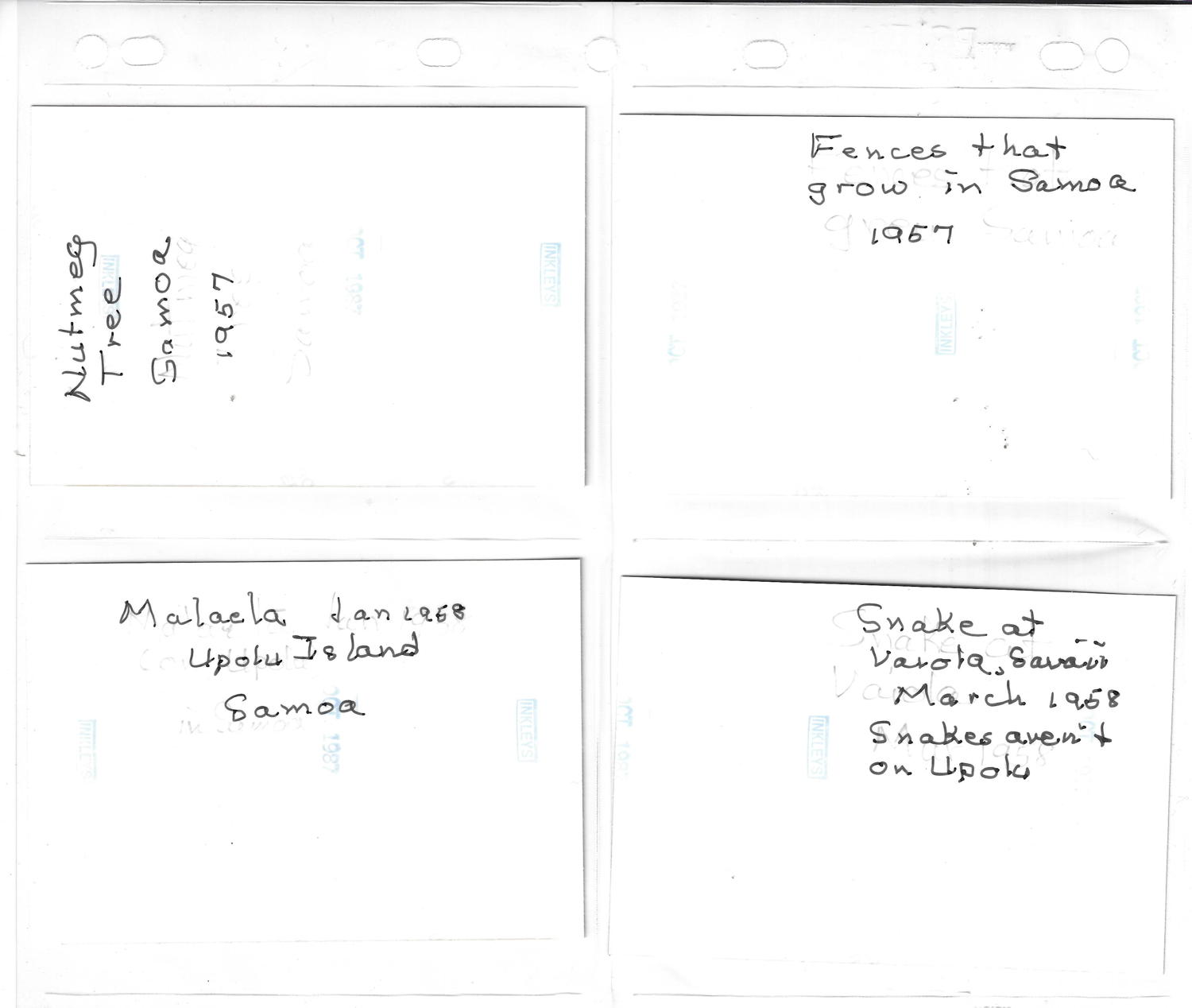 book-7-117.jpg
